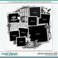 Cindy's Layered Templates - Photo Palooza 453 by Cindy Schneider
