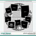 Cindy's Layered Templates - Photo Palooza 454 by Cindy Schneider
