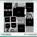 Cindy's Layered Templates - Photo Palooza 456 by Cindy Schneider