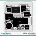 Cindy's Layered Templates - Photo Palooza 460 by Cindy Schneider Cindy's Layered Templates - Photo Palooza 460 by Cindy Schneider