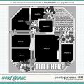 Cindy's Layered Templates - Photo Palooza 466 by Cindy Schneider