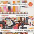 Transitions: The Collection by Allison Pennington