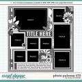 Cindy's Layered Templates - Photo Palooza 470 by Cindy Schneider