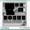 Cindy's Layered Templates - Photo Palooza 472 by Cindy Schneider