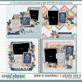 Cindy's Layered Templates - Take a Number: 1 Photo Vol. 4 by Cindy Schneider