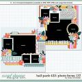 Cindy's Layered Templates - Half Pack 433: Photo Focus 137 by Cindy Schneider