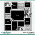 Cindy's Layered Templates - Photo Palooza 474 by Cindy Schneider