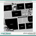 Cindy's Layered Templates - Photo Palooza 475 by Cindy Schneider