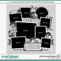 Cindy's Layered Templates - Photo Palooza 476 by Cindy Schneider