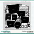 Cindy's Layered Templates - Photo Palooza 477 by Cindy Schneider