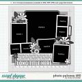 Cindy's Layered Templates - Photo Palooza 480 by Cindy Schneider