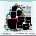 Cindy's Layered Templates - Photo Palooza 482 by Cindy Schneider