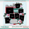 Cindy's Layered Templates - Photo Palooza 483 by Cindy Schneider Cindy's Layered Templates - Photo Palooza 483 by Cindy Schneider