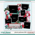 Cindy's Layered Templates - Photo Palooza 484 by Cindy Schneider Cindy's Layered Templates - Photo Palooza 484 by Cindy Schneider