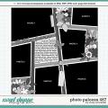 Cindy's Layered Templates - Photo Palooza 487 by Cindy Schneider Cindy's Layered Templates - Photo Palooza 487 by Cindy Schneider
