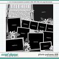 Cindy's Layered Templates - Photo Palooza 488 by Cindy Schneider