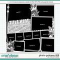 Cindy's Layered Templates - Photo Palooza 489 by Cindy Schneider Cindy's Layered Templates - Photo Palooza 489 by Cindy Schneider