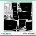 Cindy's Layered Templates - Photo Palooza 490 by Cindy Schneider