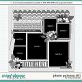 Cindy's Layered Templates - Photo Palooza 491 by Cindy Schneider Cindy's Layered Templates - Photo Palooza 491 by Cindy Schneider