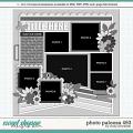 Cindy's Layered Templates - Photo Palooza 493 by Cindy Schneider
