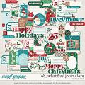 Oh, What Fun! Journalers by Traci Reed