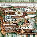 A Storybook Winter: Frosty Forest Fables by Kristin Cronin-Barrow