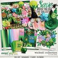 Wicked: COLLECTION & *FWP* by Studio Flergs