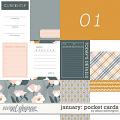 January: Pocket Cards by Allison Pennington