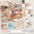 Bookish Bundle with *FWP* by Traci Reed