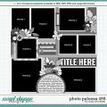 Cindy's Layered Templates - Photo Palooza 495 by Cindy Schneider