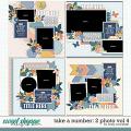 Cindy's Layered Templates - Take a Number: 2 Photo Vol. 4 by Cindy Schneider