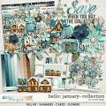 Hello: January- COLLECTION & *FWP* by Studio Flergs