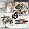 Mish Mash Mixed Media #5 Bundle by Studio Basic