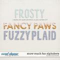 Snow Much Fun Alphabets by Becca Bonneville