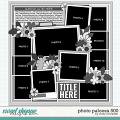 Cindy's Layered Templates - Photo Palooza 500 by Cindy Schneider