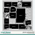 Cindy's Layered Templates - Photo Palooza 501 by Cindy Schneider