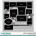 Cindy's Layered Templates - Photo Palooza 502 by Cindy Schneider