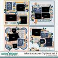 Cindy's Layered Templates - Take a Number: 3 Photo Vol. 4 by Cindy Schneider