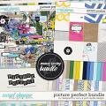 Picture Perfect Bundle by Pink Reptile Designs and Designed by Soco