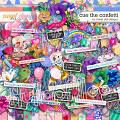 Cue the confetti Kit by Sweet Doll designs