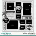 Cindy's Layered Templates - Photo Palooza 506 by Cindy Schneider