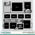Cindy's Layered Templates - Photo Palooza 507 by Cindy Schneider