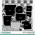 Cindy's Layered Templates - Photo Palooza 509 by Cindy Schneider