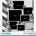 Cindy's Layered Templates - Photo Palooza 510 by Cindy Schneider