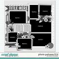 Cindy's Layered Templates - Photo Palooza 514 by Cindy Schneider