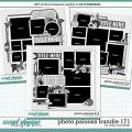 Cindy's Layered Templates - Photo Palooza Bundle 171 by Cindy Schneider
