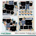 Cindy's Layered Templates - Take a Number: 5 Photo Vol. 4 by Cindy Schneider Cindy's Layered Templates - Take a Number: 5 Photo Vol. 4 by Cindy Schneider