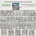 Words to Scrap By 3 by Clever Monkey Graphics Words to Scrap By 3 by Clever Monkey Graphics