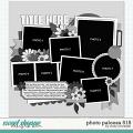 Cindy's Layered Templates - Photo Palooza 515 by Cindy Schneider Cindy's Layered Templates - Photo Palooza 515 by Cindy Schneider