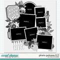 Cindy's Layered Templates - Photo Palooza 517 by Cindy Schneider Cindy's Layered Templates - Photo Palooza 517 by Cindy Schneider